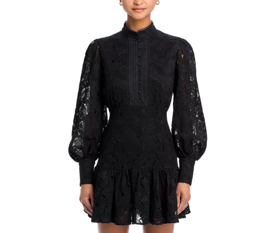 Bardot Remy Mini Lace Dress MSRP $90