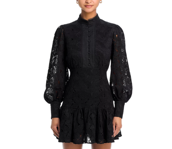 Bardot Remy Mini Lace Dress MSRP $90
