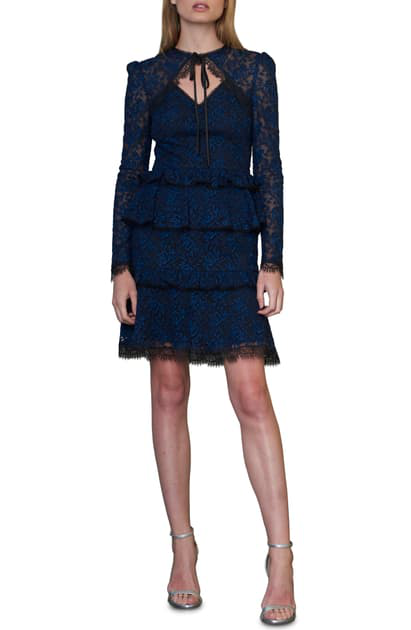 Ml Monique Lhuillier Embroidered Tiered Dress