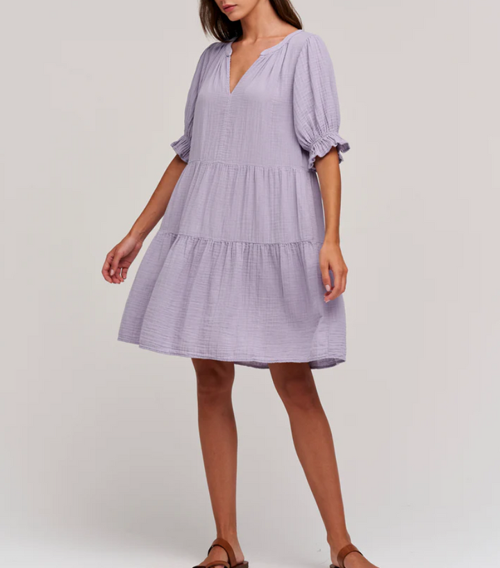 Velvet by Graham & Spencer Clarissa Dress