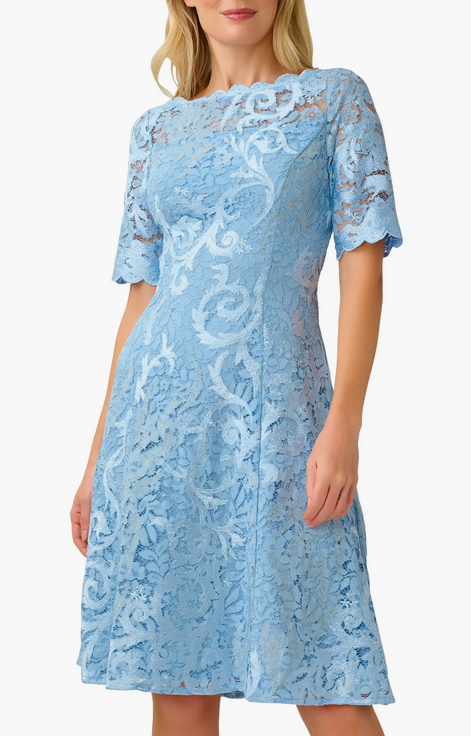 Adrianna Papell Lace Fit & Flare Dress