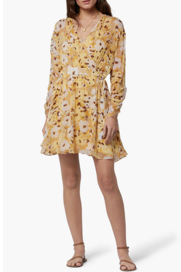 JOIE Clara Floral Long Sleeve Silk Minidress