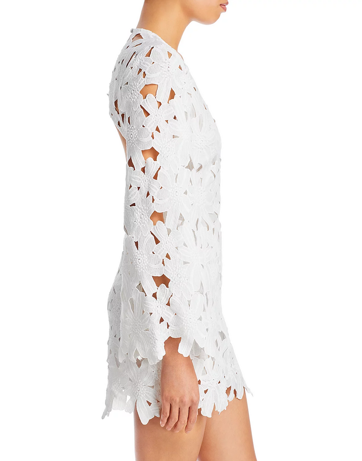 Rococo Sand Open Back Lace Dress