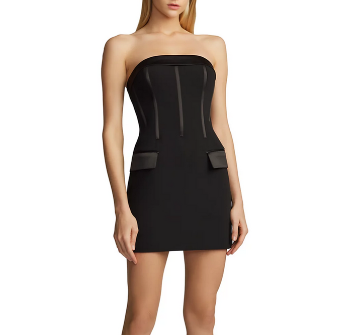 Zac Posen Strapless Corset Mini Dress