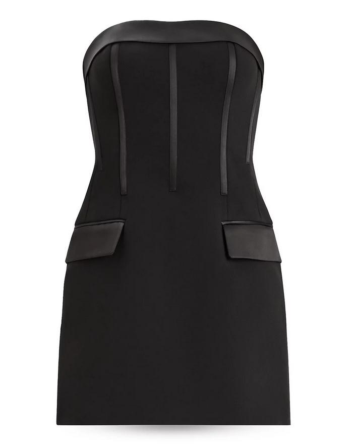 Zac Posen Strapless Corset Mini Dress