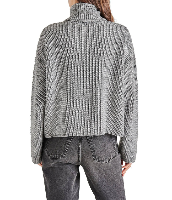 STEVE MADDEN Astro Crystal Turtleneck Sweater